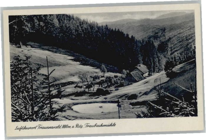 Frauenwald Fraubachmühle