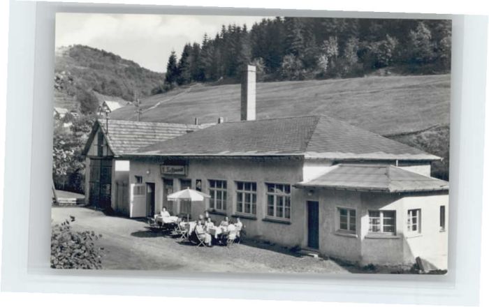 Fehrenbach Thueringer Wald