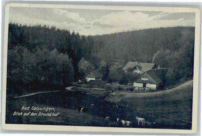 Bad Salzungen Grundhof