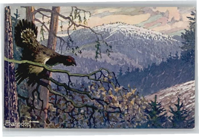 Inselsberg Schmalkalden Inselsberg