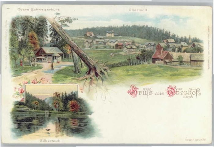 Oberhof Thueringen bere Schweizerhütte Silberteich *