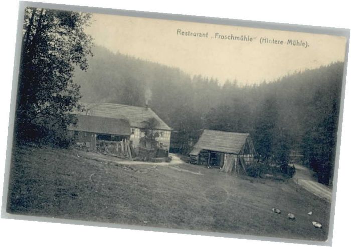 Eisenberg Thueringen estaurant Froschmühle Mühltal x