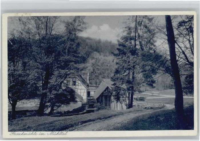 Eisenberg Thueringen roschmühle Mühltal x