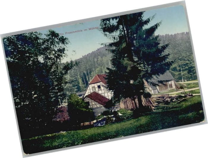 Eisenberg Thueringen roschmühle Mühltal x