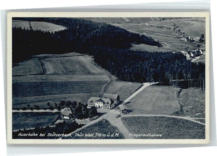 Stuetzerbach liegeraufnahme Auerhahn