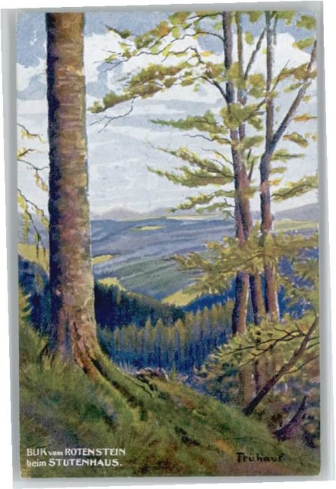 Schmiedefeld Rennsteig Rotenstein Künstler Trühauf x