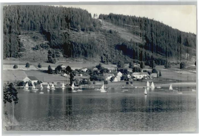 Saaletalsperre Stausee Kloster