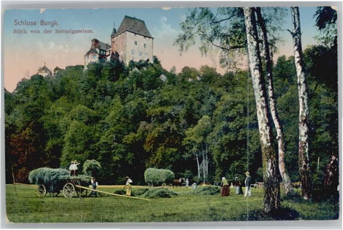 Schloss Burgk Bermigswiese
