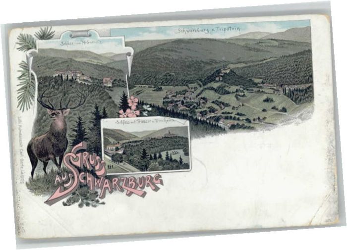 Schwarzburg Thueringer Wald Schwarzburg Schloss Hirsch