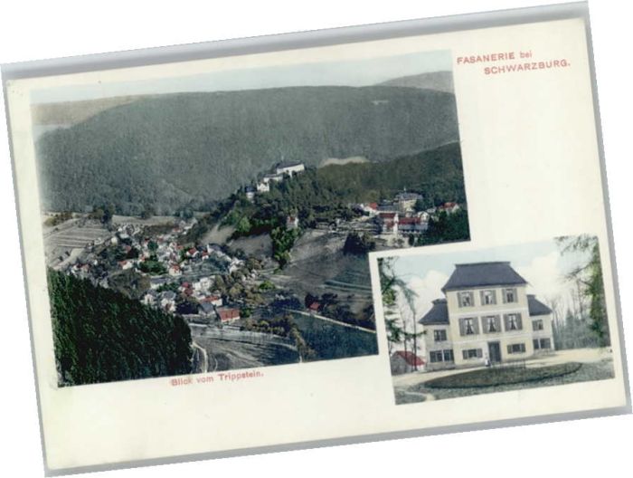 Schwarzburg Thueringer Wald Schwarzburg Fasanerie