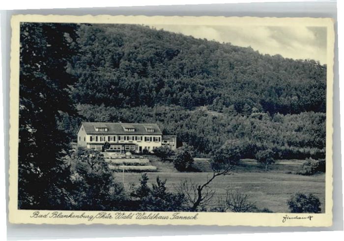 Bad Blankenburg Waldhaus Tanneck