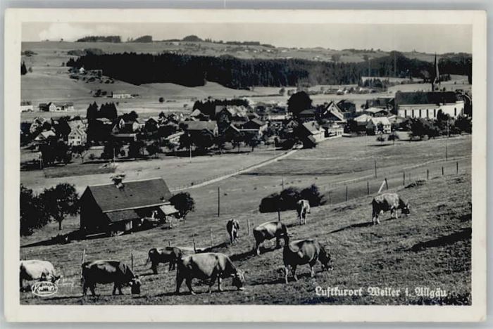 Weiler-Simmerberg Weiler Allgäu Kühe x