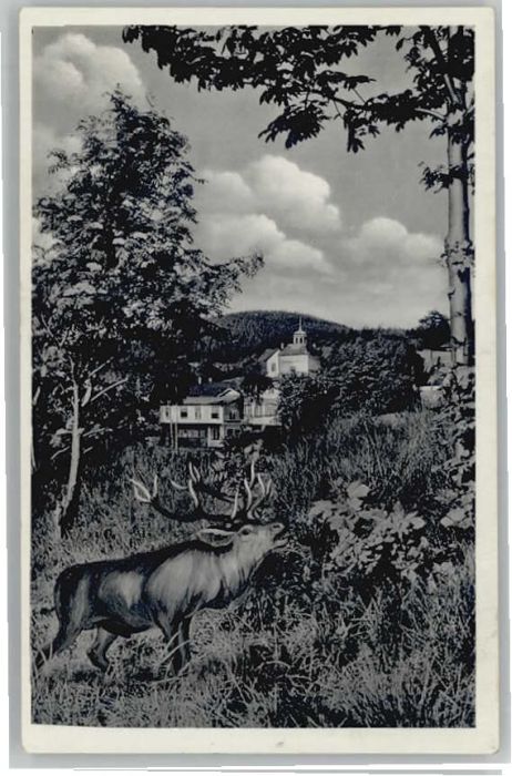 Vogelsgruen remdenheim Zum Forsthaus