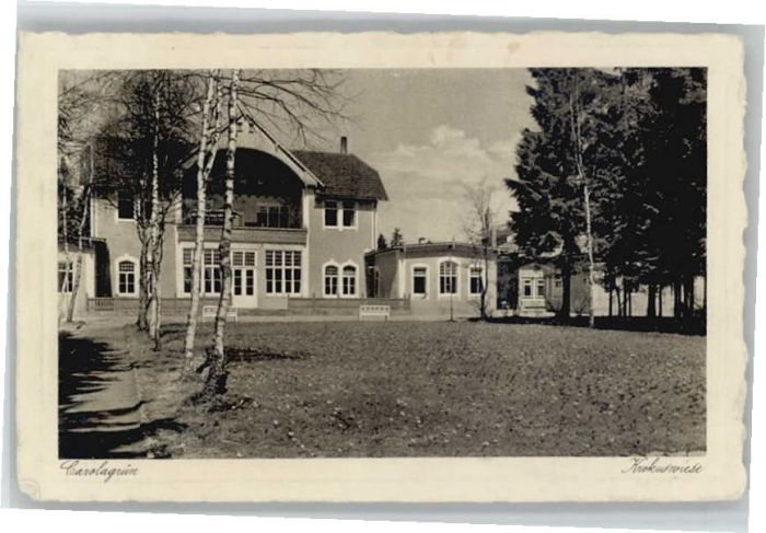 Auerbach Karolagruen Krokuswiese