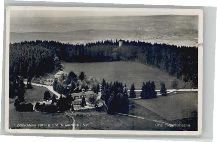 Auerbach Fliegeraufnahme Zoebischhaus