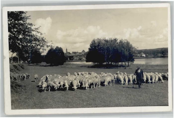 Babenhausen Schwaben [Foto G. Müller]