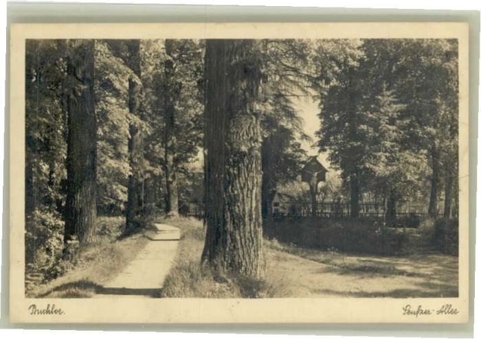 Buchloe Seufzer Allee