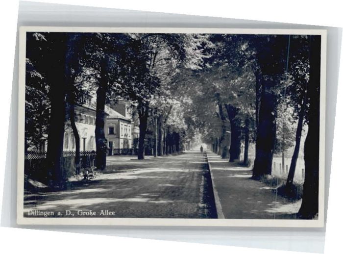 Dillingen Donau Grosse Allee