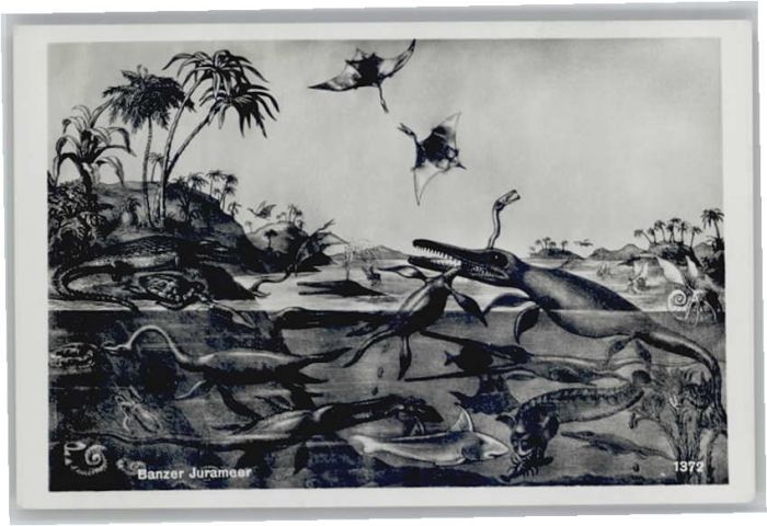 Bad Staffelstein [Verlag Joseph Hospe] Banzer Jurameer A