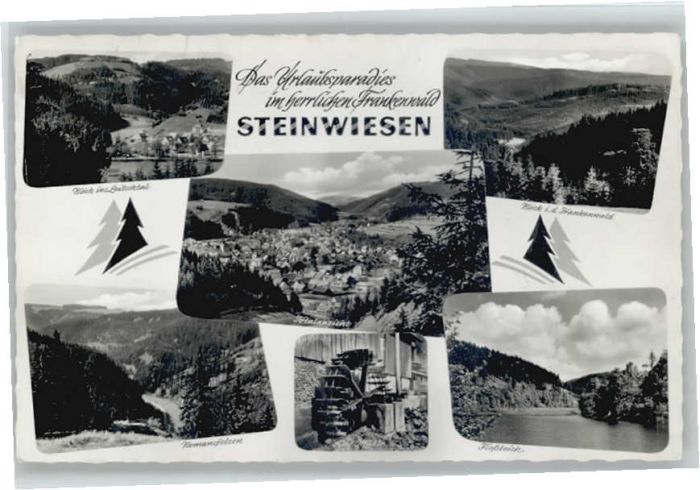 Steinwiesen