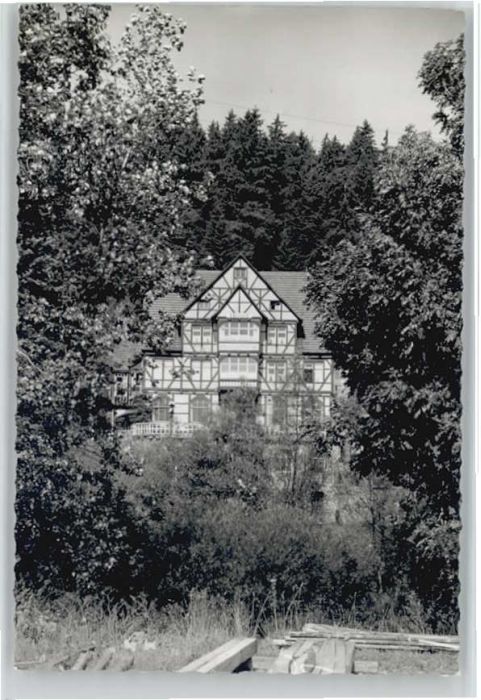 Frankenberg Eder Hotel Gossberg