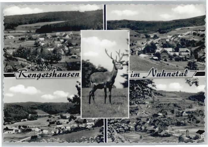 Rengershausen Frankenberg Eder Reh