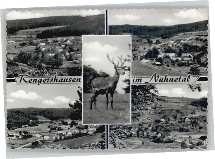 Rengershausen Frankenberg Eder Reh