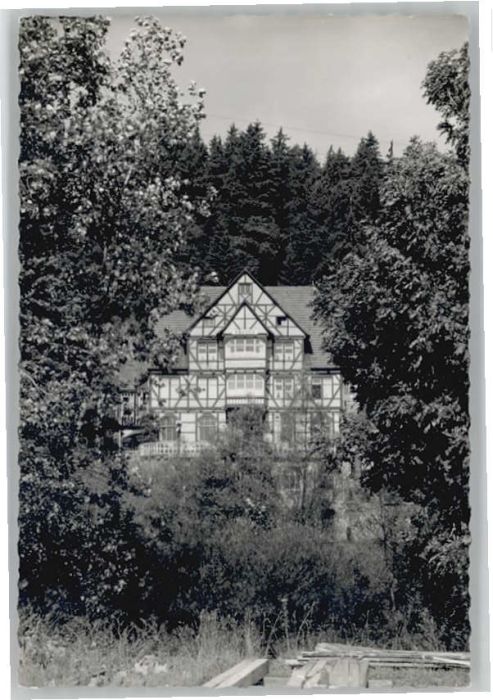 Frankenberg Eder Hotel Gossberg