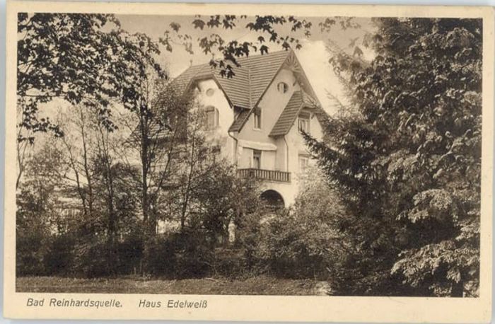 Bad Wildungen Bad Reinhardsquelle Haus Edelweiß