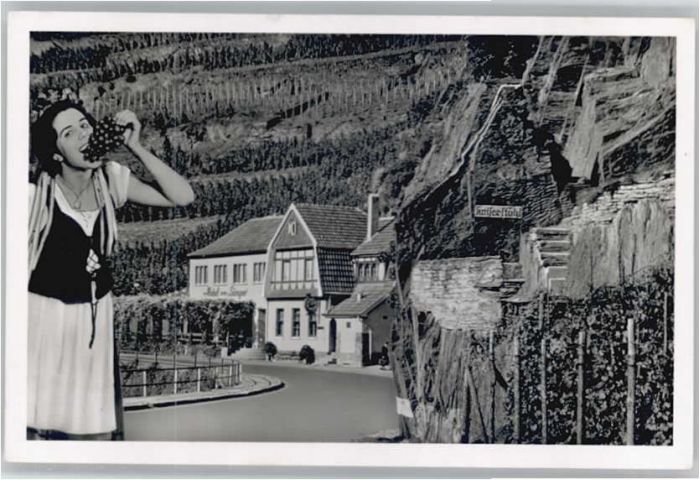 Walporzheim Hotel zum Sänger