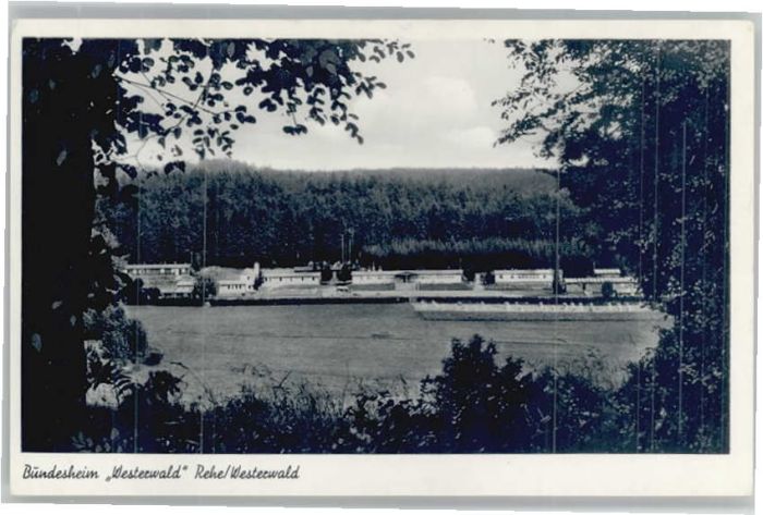 Rehe Bundesheim Westerwald