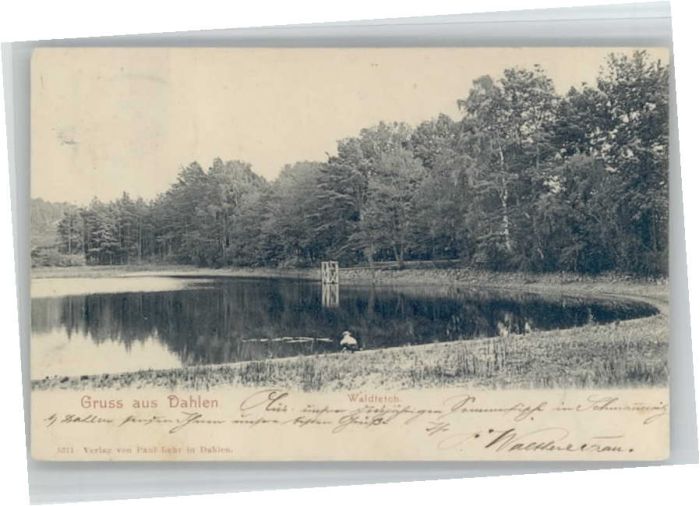 Dahlen Sachsen Waldteich