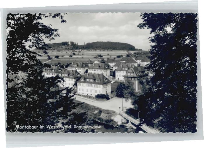 Montabaur Westerwald Montabaur Sommerwiese