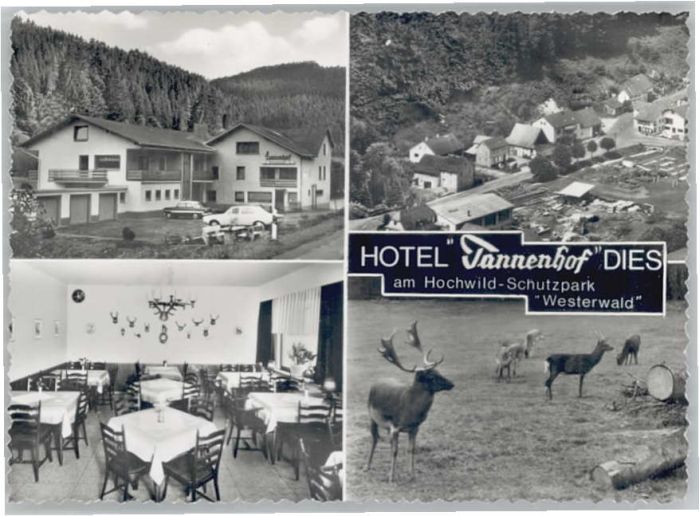 Dies Hotel Tannenhof