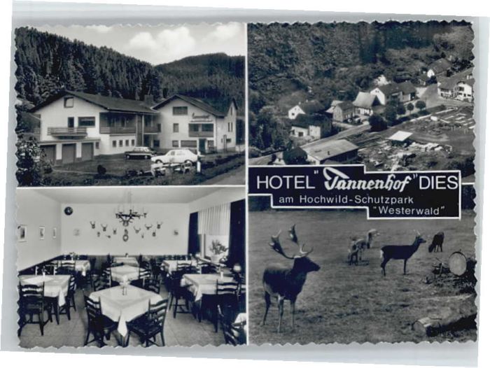 Dies Hotel Tannenhof