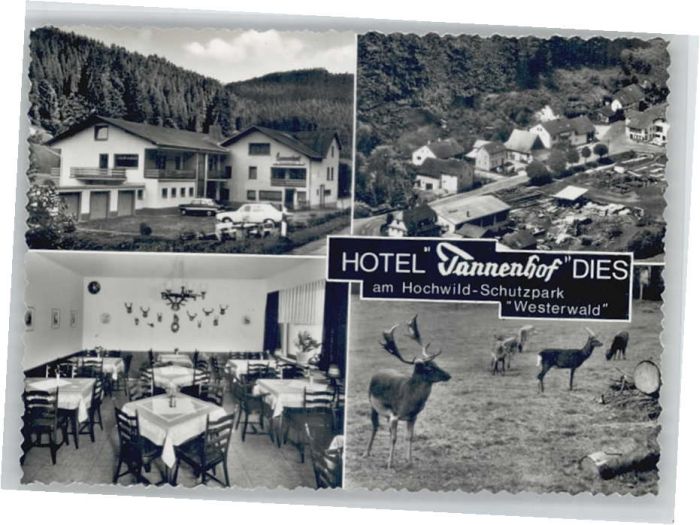 Dies Hotel Tannenhof