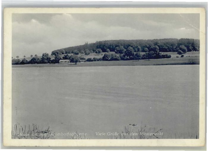 Krombachtalsperre Rehe Krombachtalsperre Haus am See