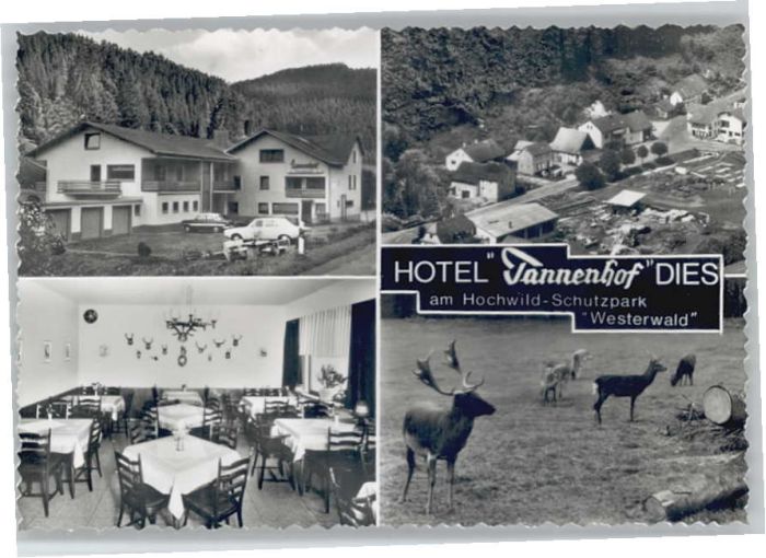 Dies Hotel Tannenhof