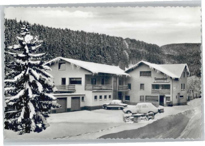 Dies Hotel Restaurant Tannenhof