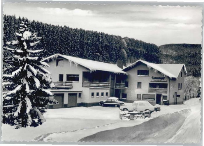 Dies Hotel Tannenhof