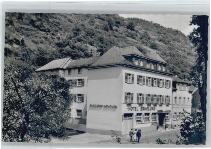 St Goarshausen Hotel Erholung