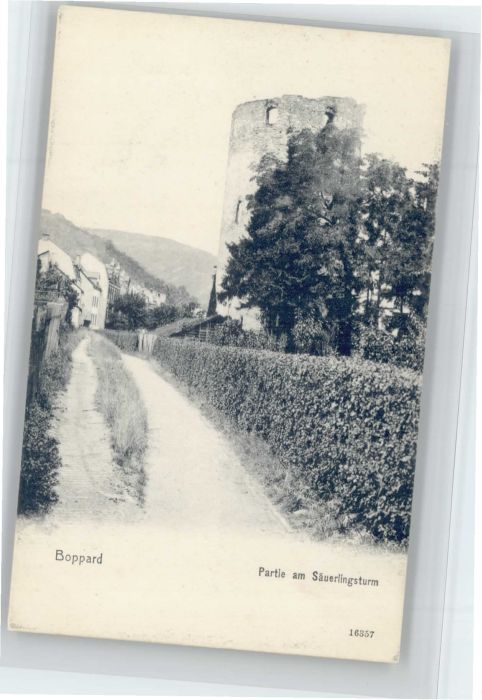 Boppard Rhein Boppard Säuerlingsturm
