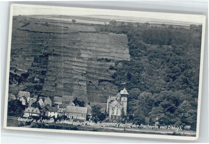 Gondorf Mosel Gondorf Niederburg