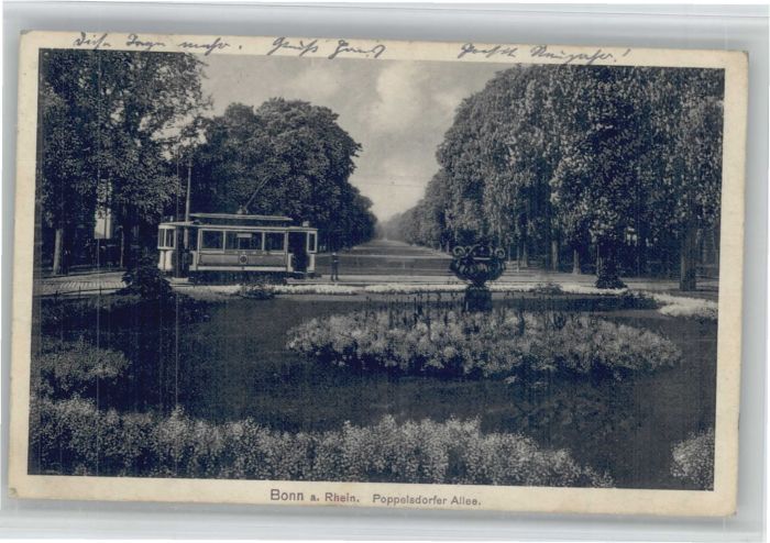 Bonn Rhein Bonn Poppelsdorfer Allee