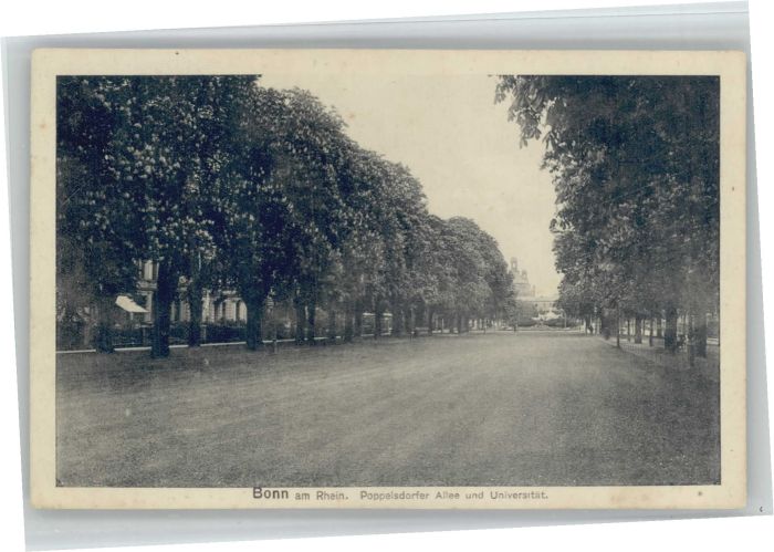 Bonn Rhein Bonn Poppelsdorfer Allee