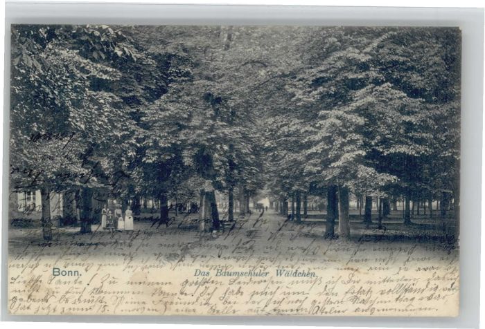 Bonn Rhein Bonn