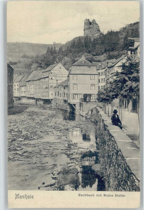 Montjoie Monschau Montjoie Eschbach Ruine Haller