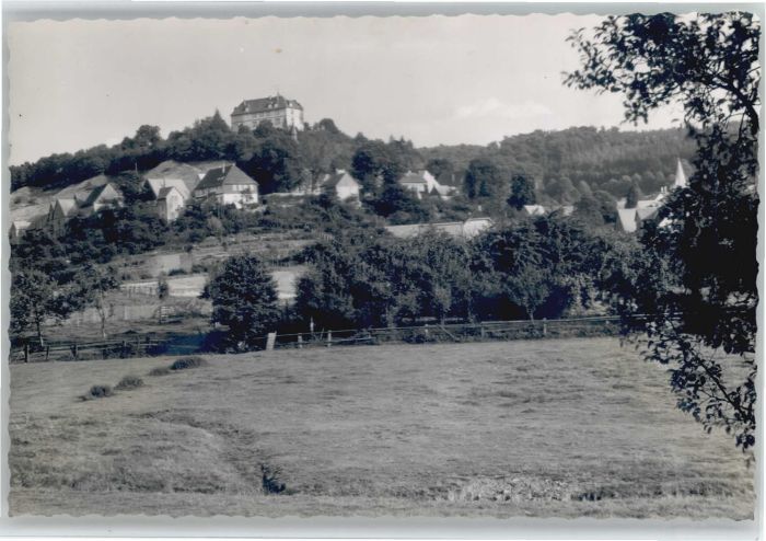 Schwalenberg Schloss