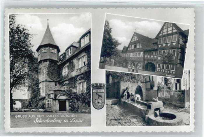 Schwalenberg Rathaus Volkwinbrunnen Burg