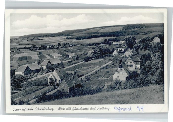 Schwalenberg Gänsekamp